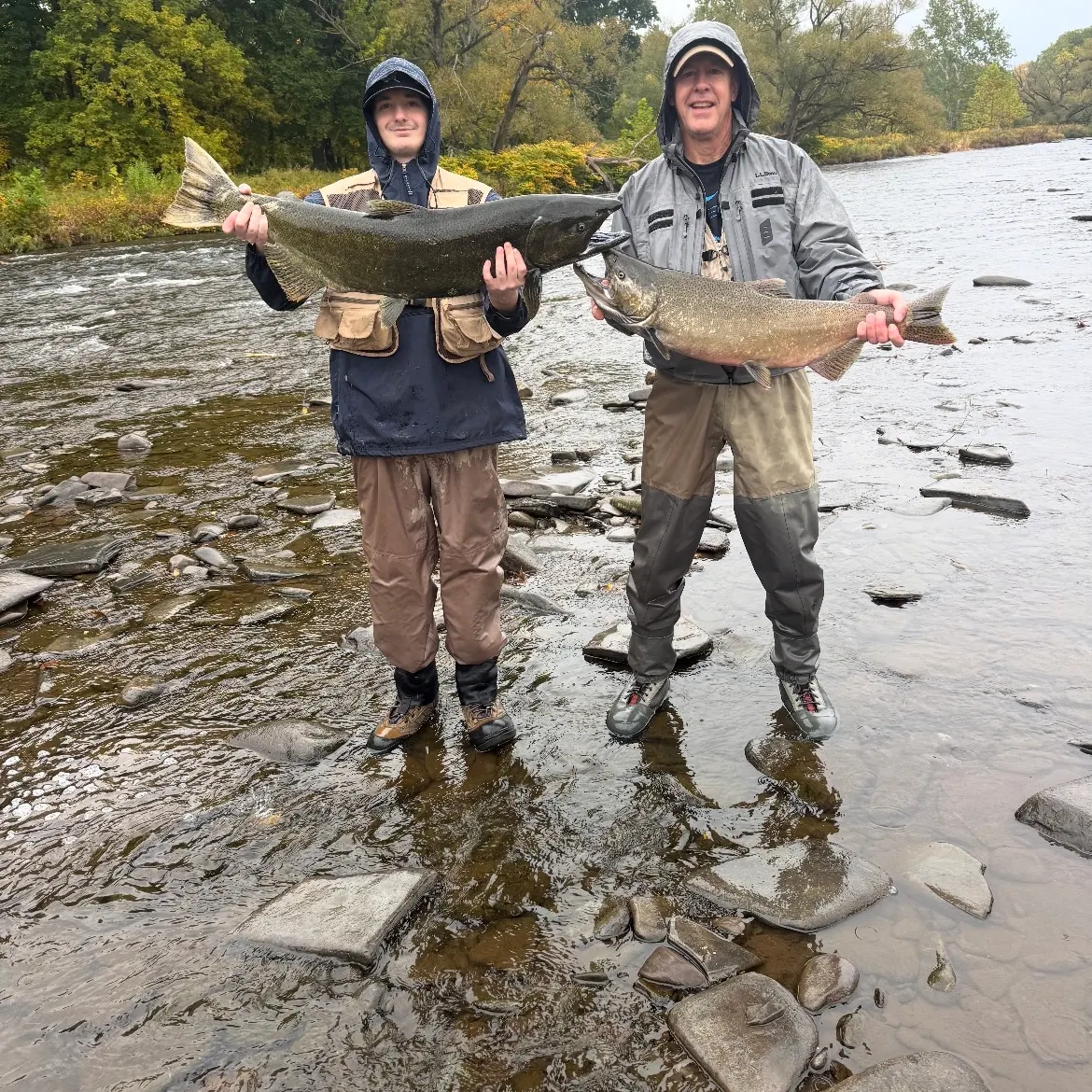Chinook salmon caught on Fishbrain