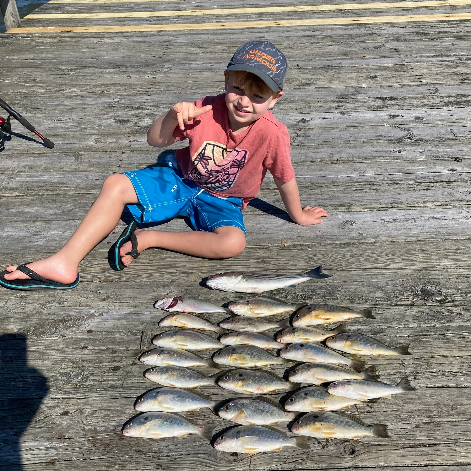 Spot croaker caught on Fishbrain