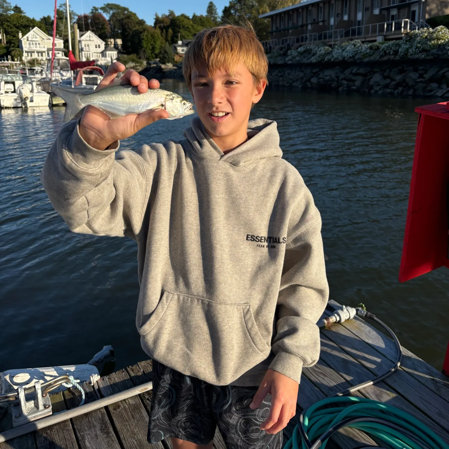 Bluefish caught on Fishbrain