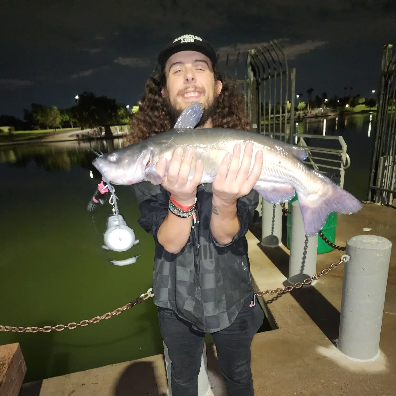 Channel catfish caught on Fishbrain