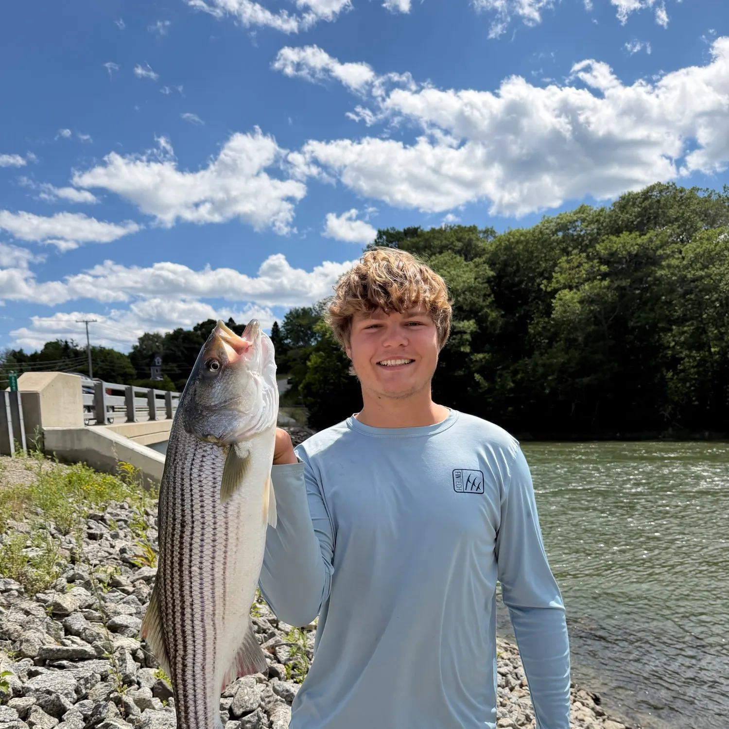 Striped bass caught on Fishbrain