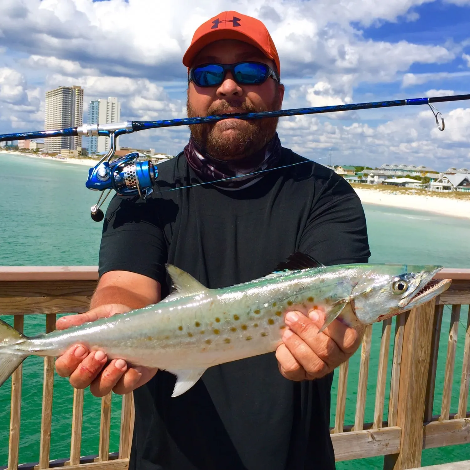 The most popular recent Spanish mackerel catch on Fishbrain