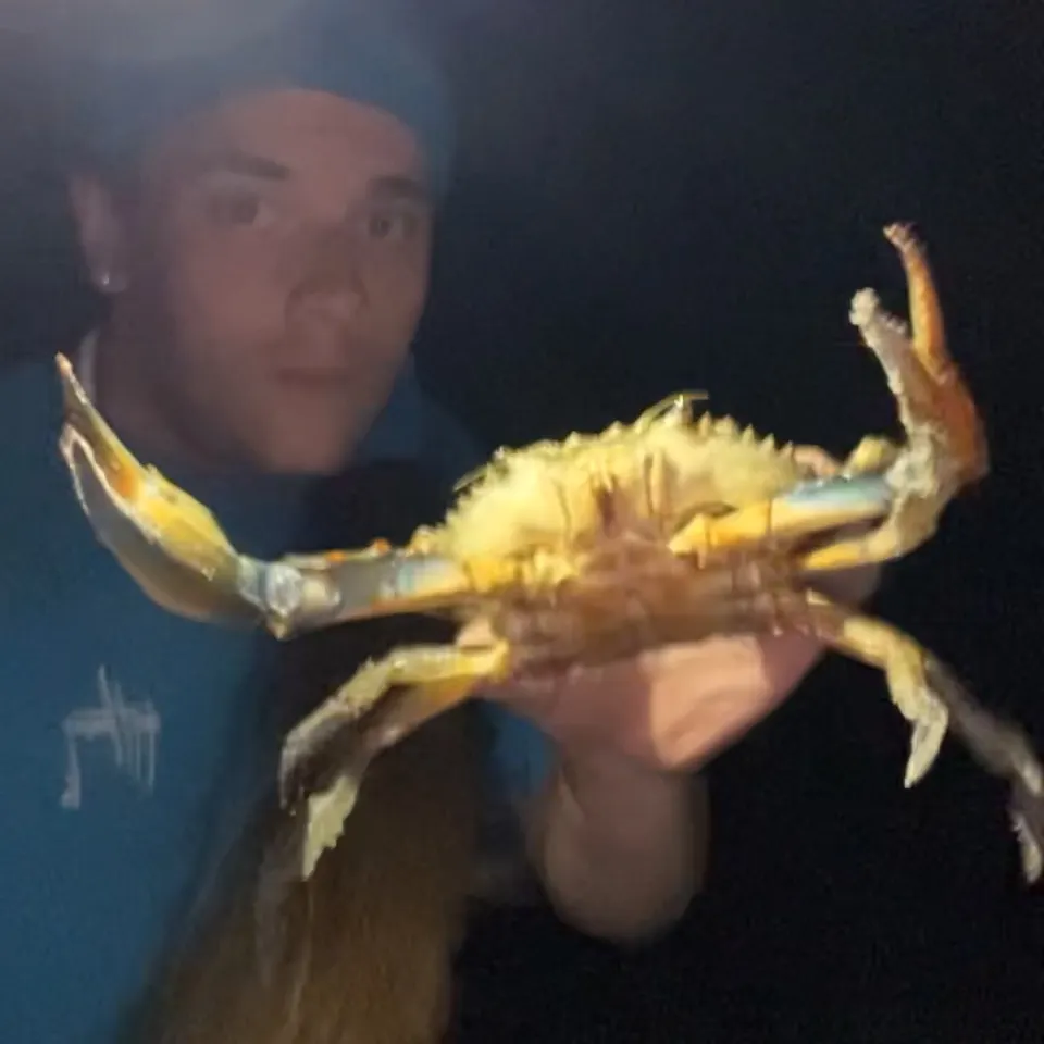 Blue crab caught on Fishbrain