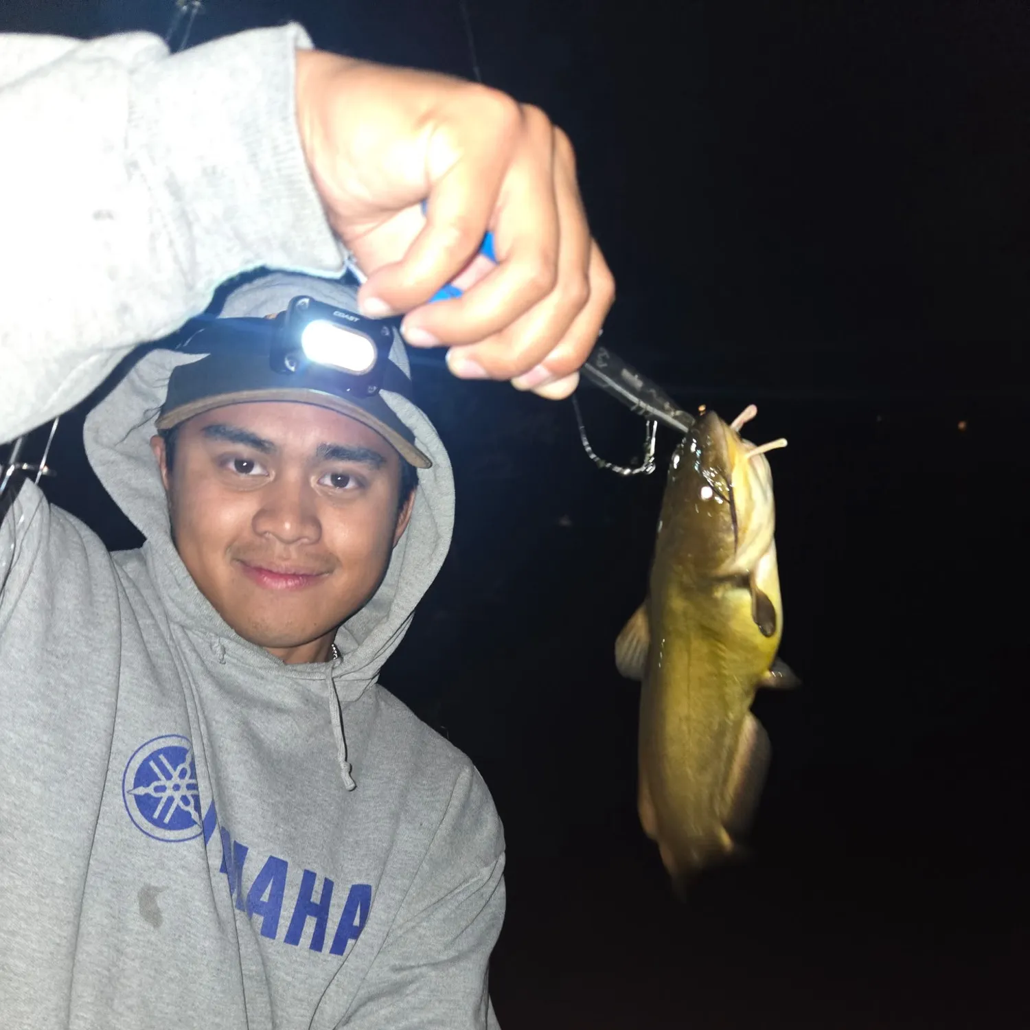 Black bullhead caught on Fishbrain