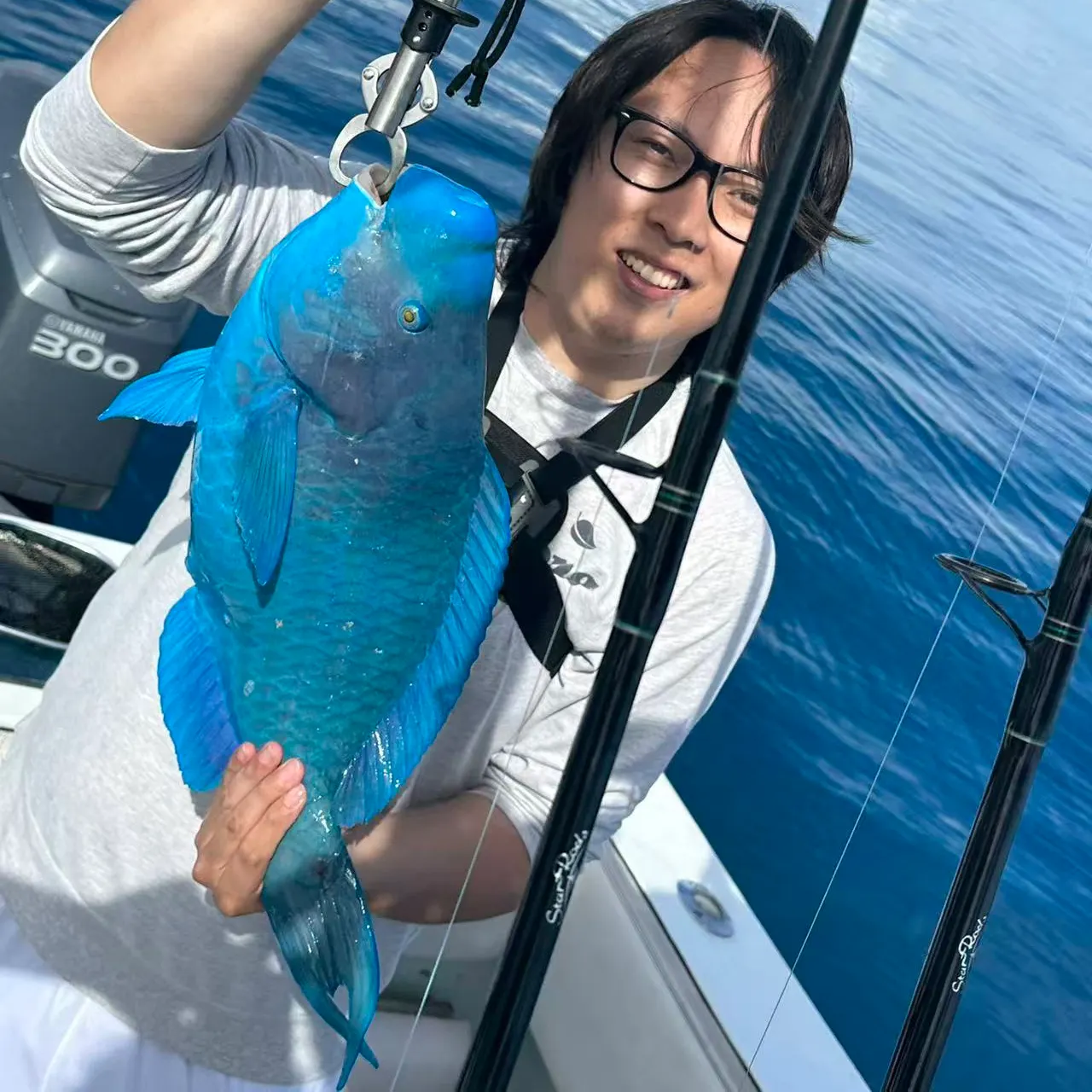The most recent Blue parrotfish catches on Fishbrain