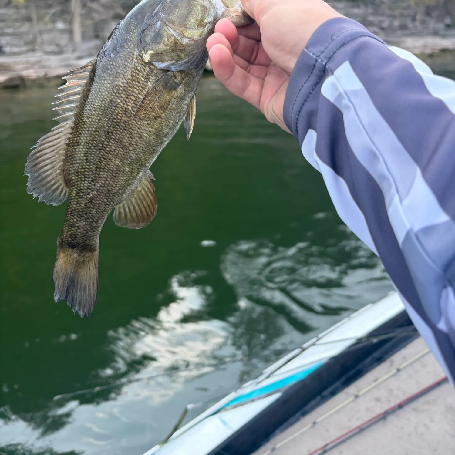 Smallmouth bass caught on Fishbrain