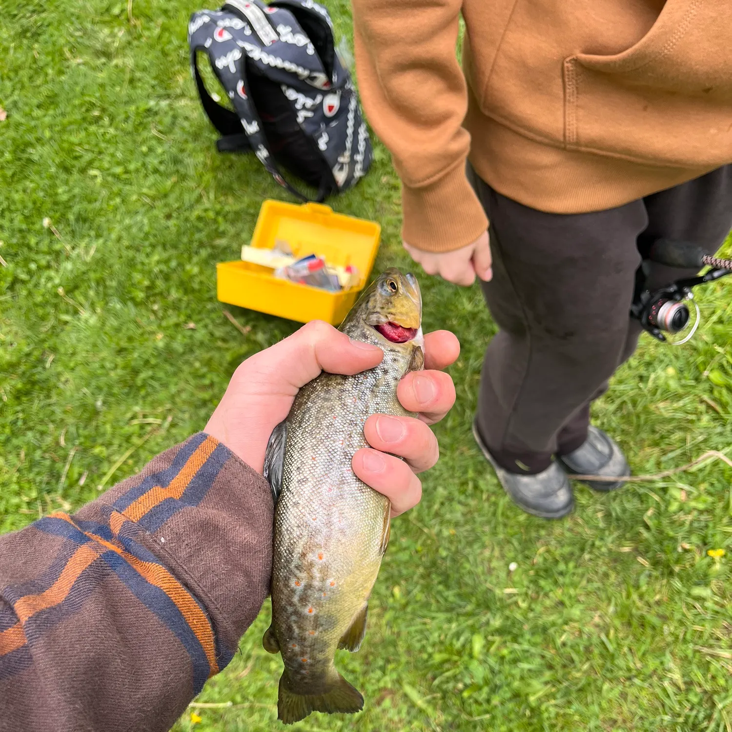 catch