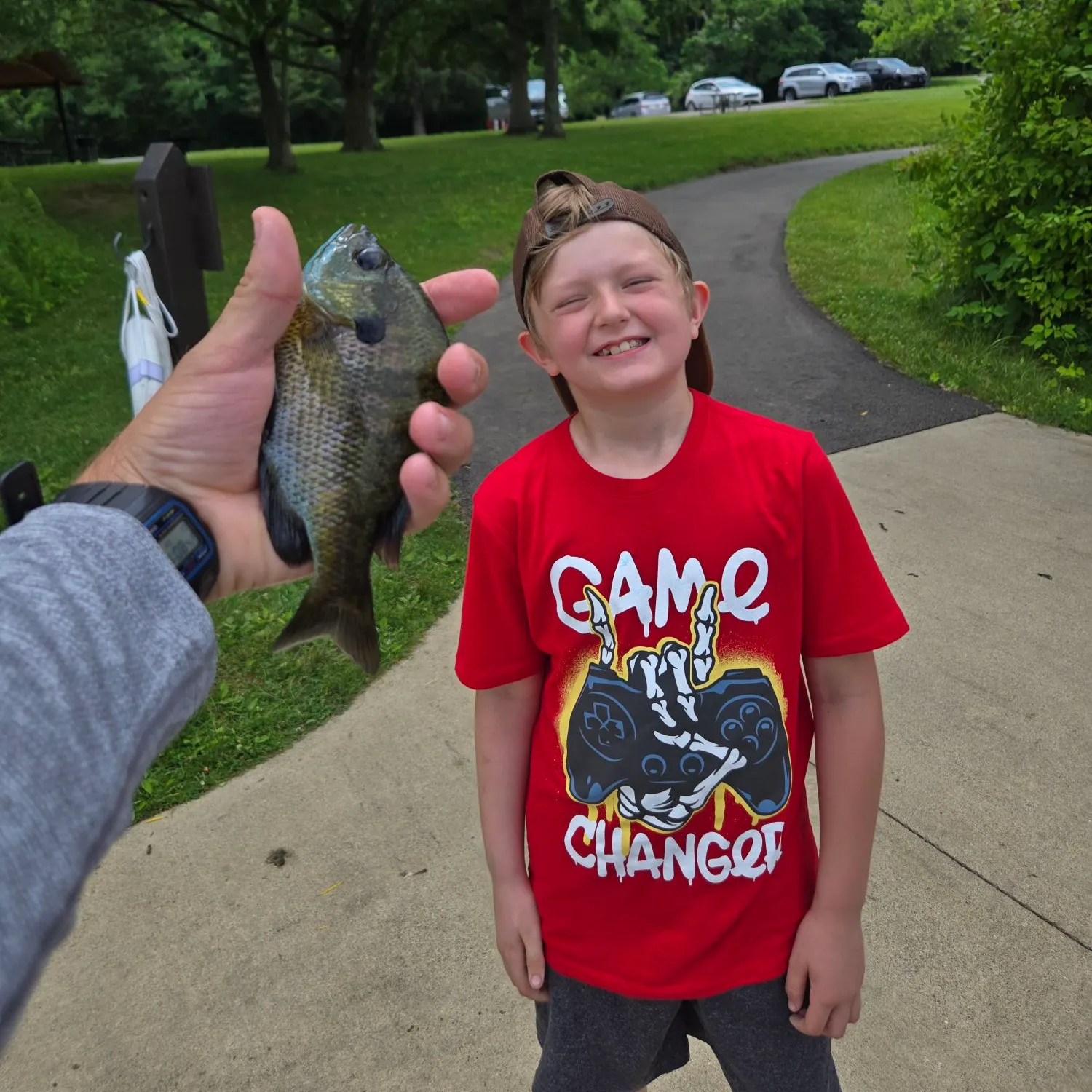 Bluegill caught on Fishbrain