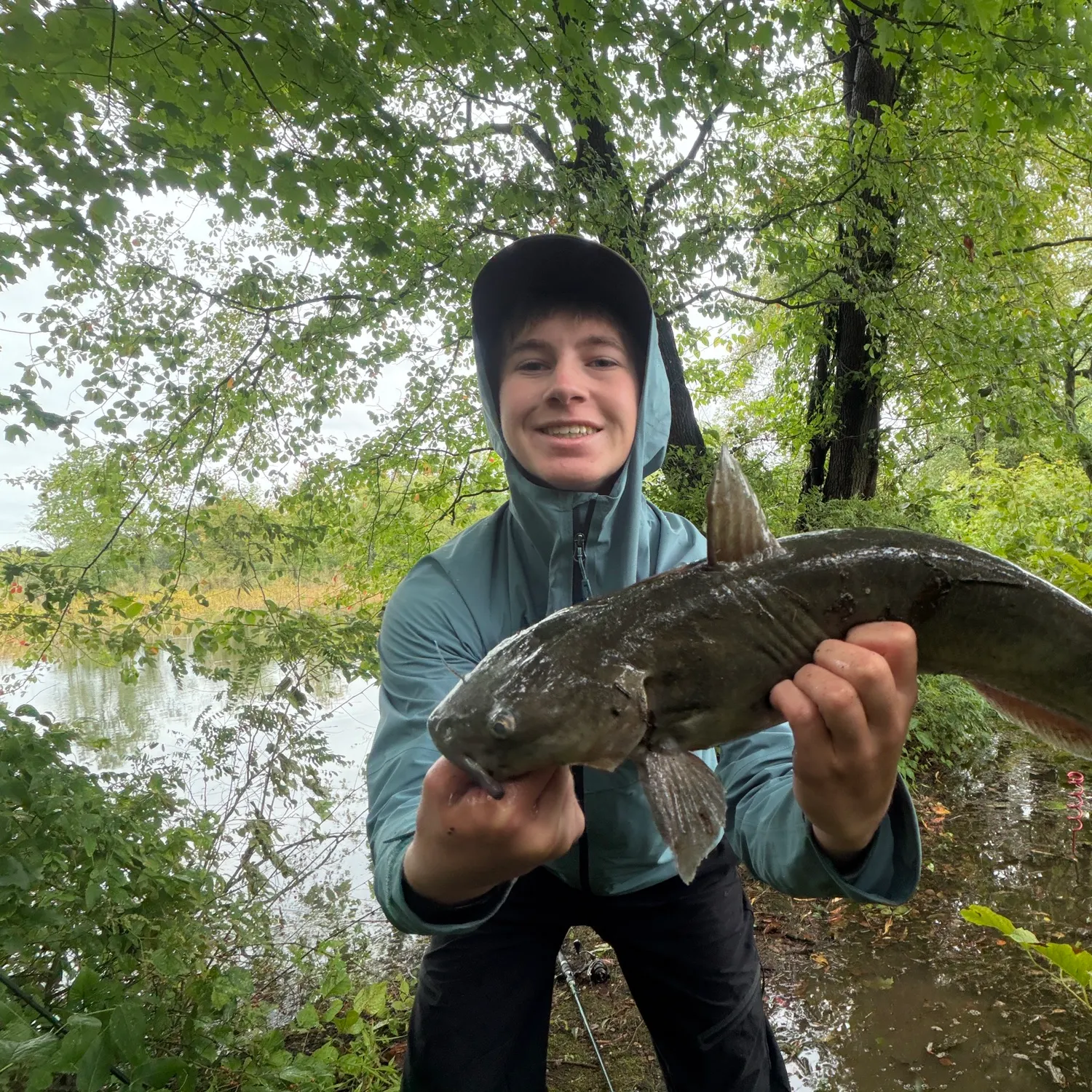 Channel catfish caught on Fishbrain