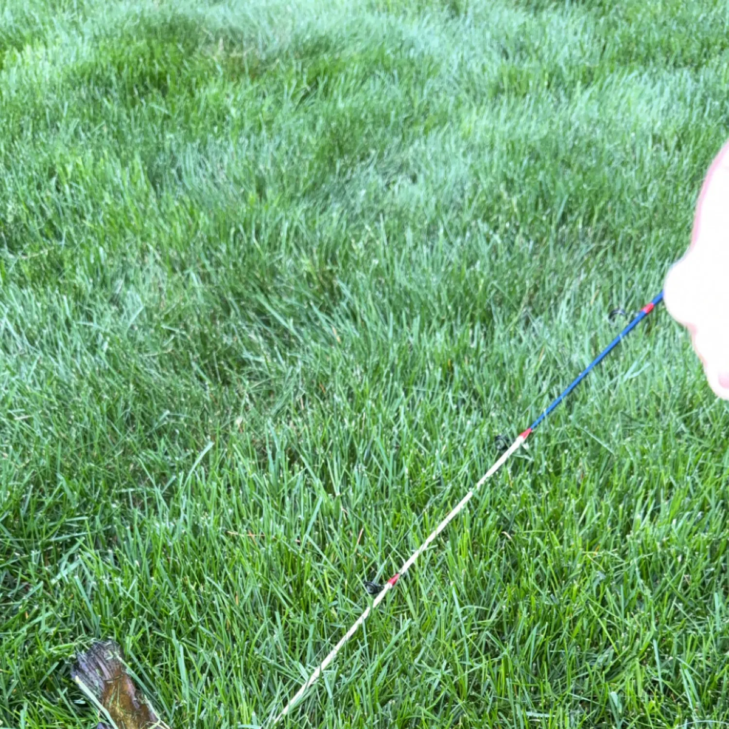 angler catch