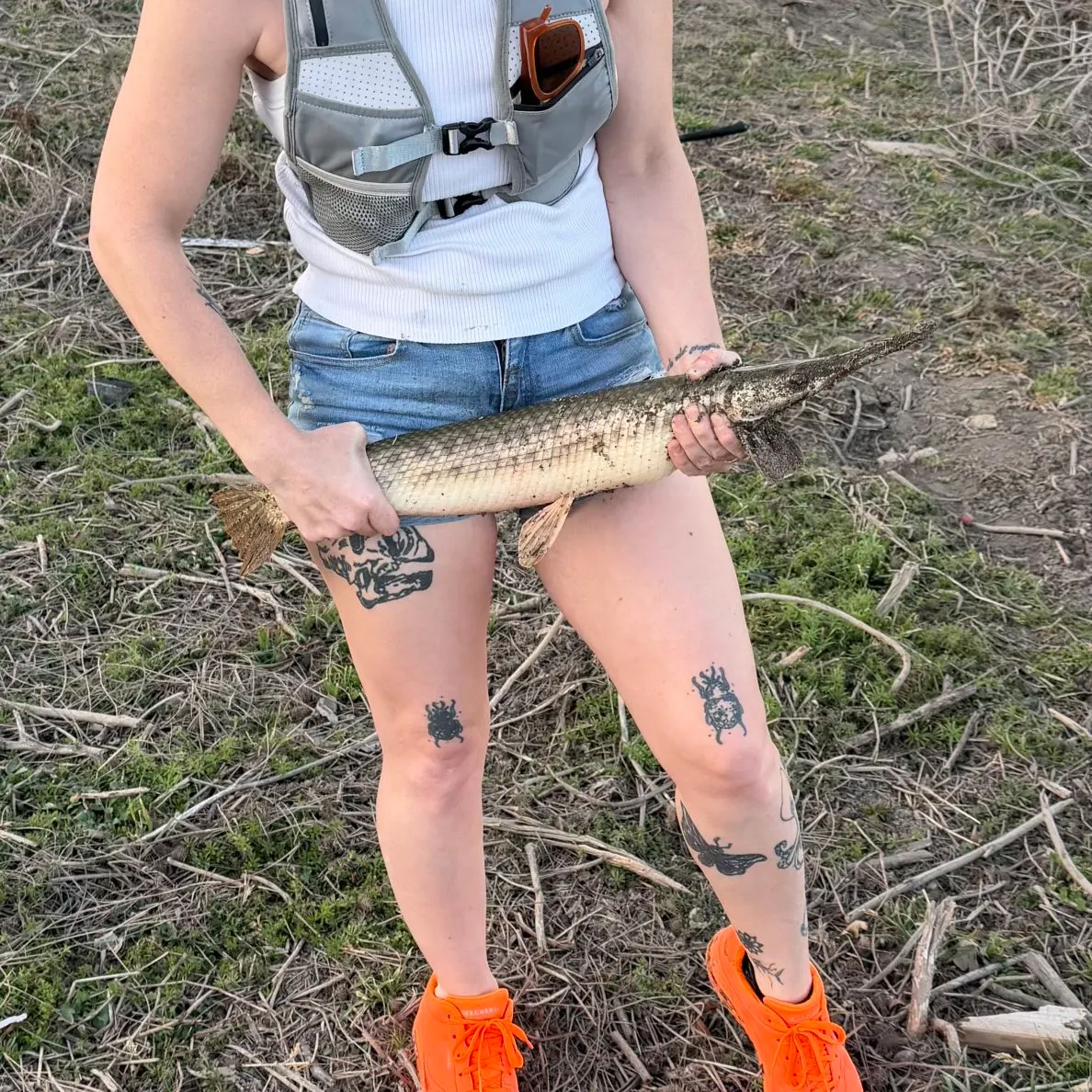 The most recent Longnose gar catches on Fishbrain