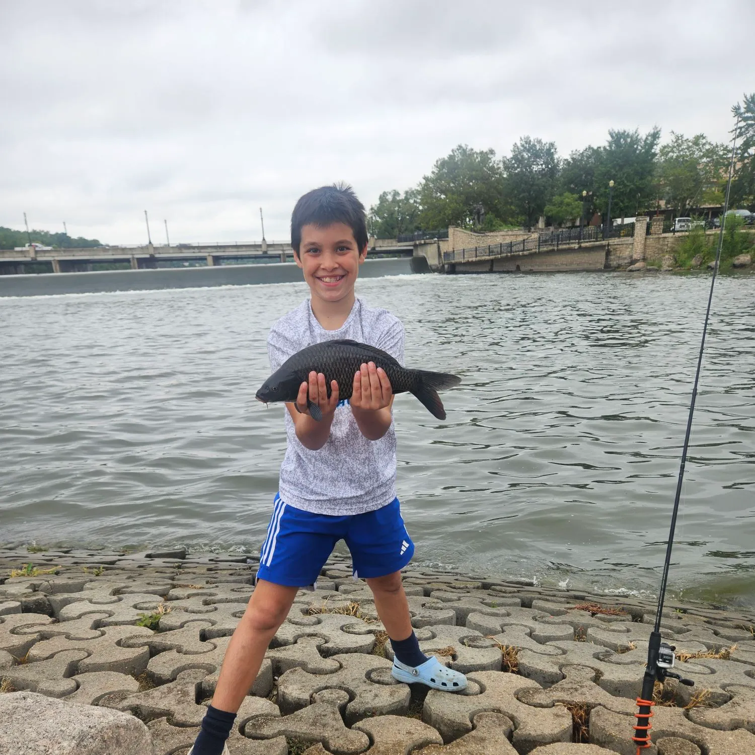 The most recent Black carp catches on Fishbrain