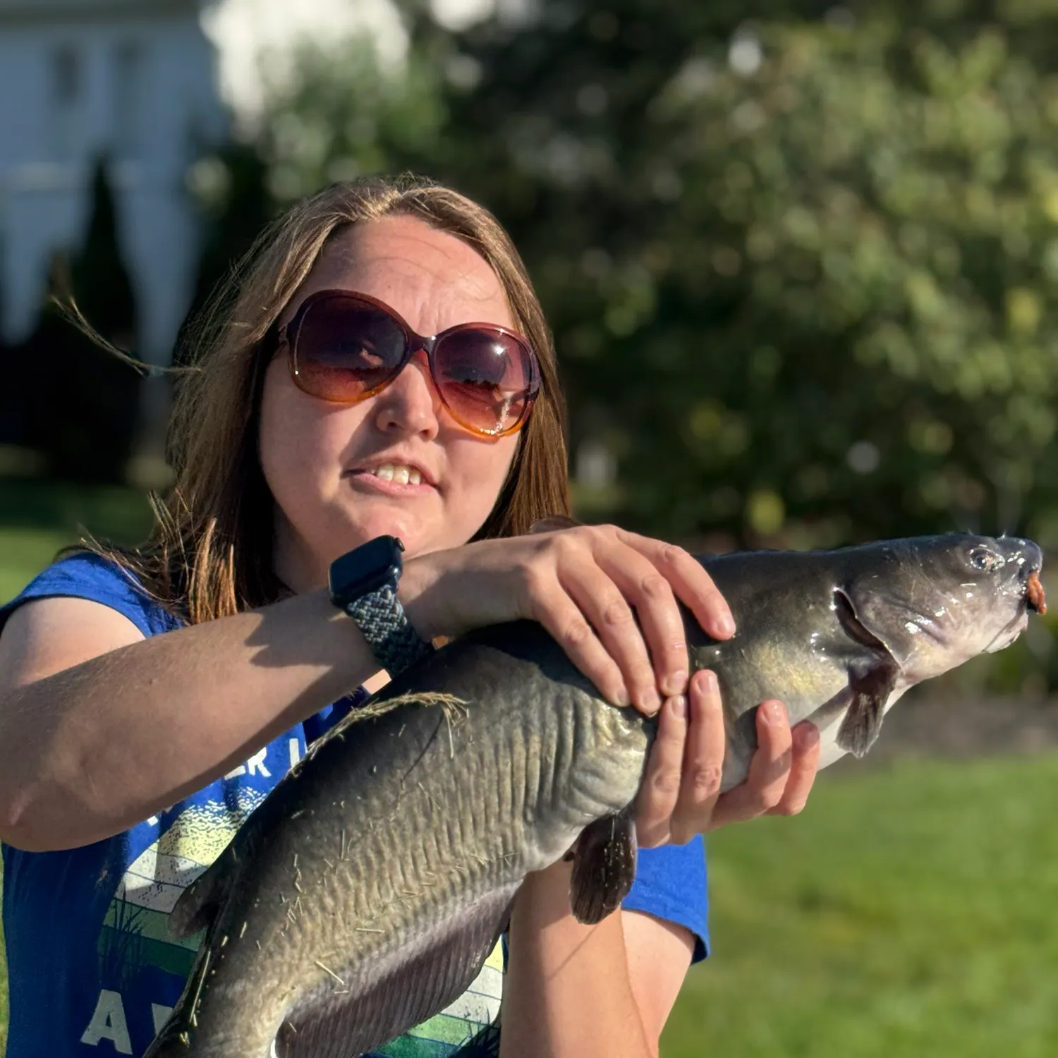 Channel catfish caught on Fishbrain
