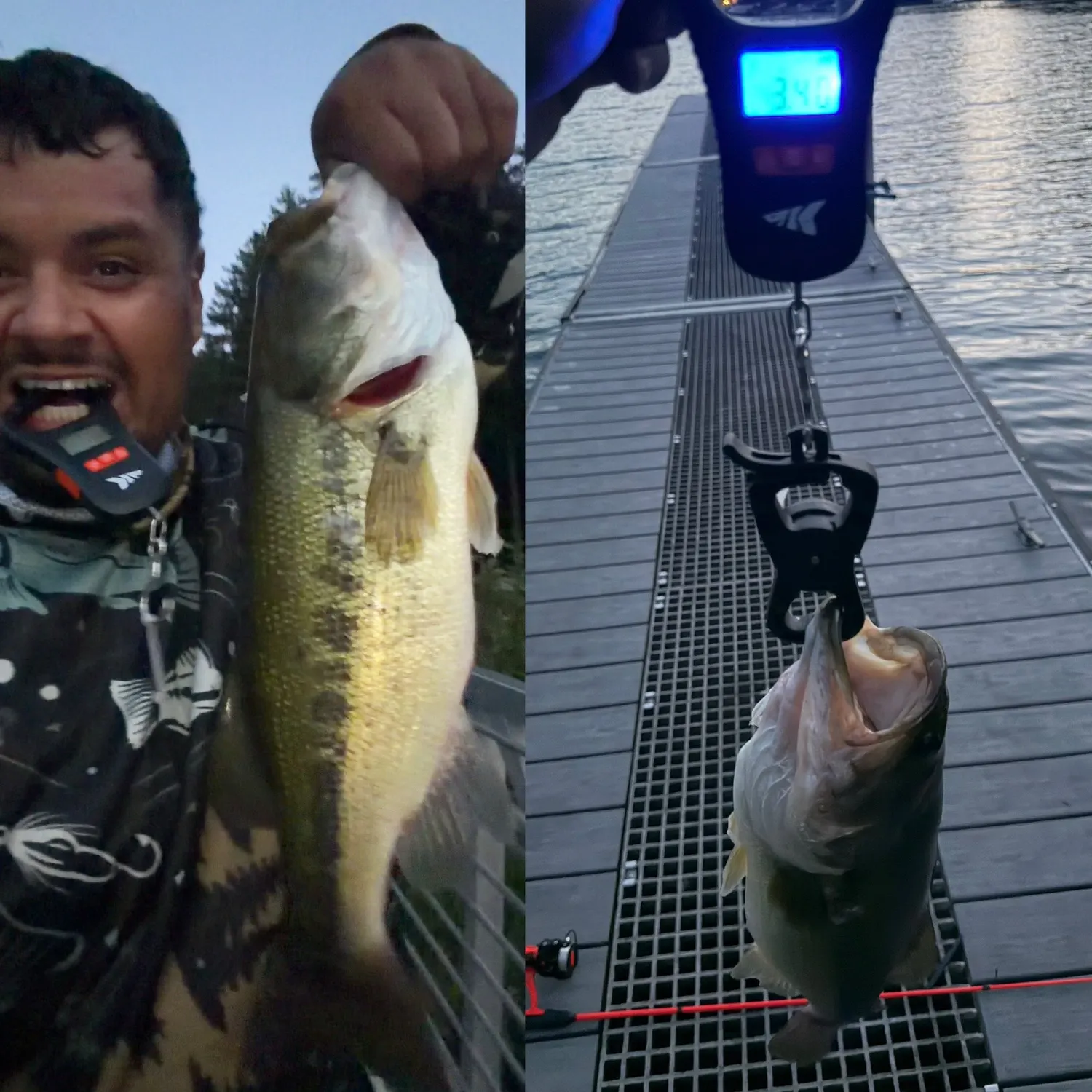 recently logged catches