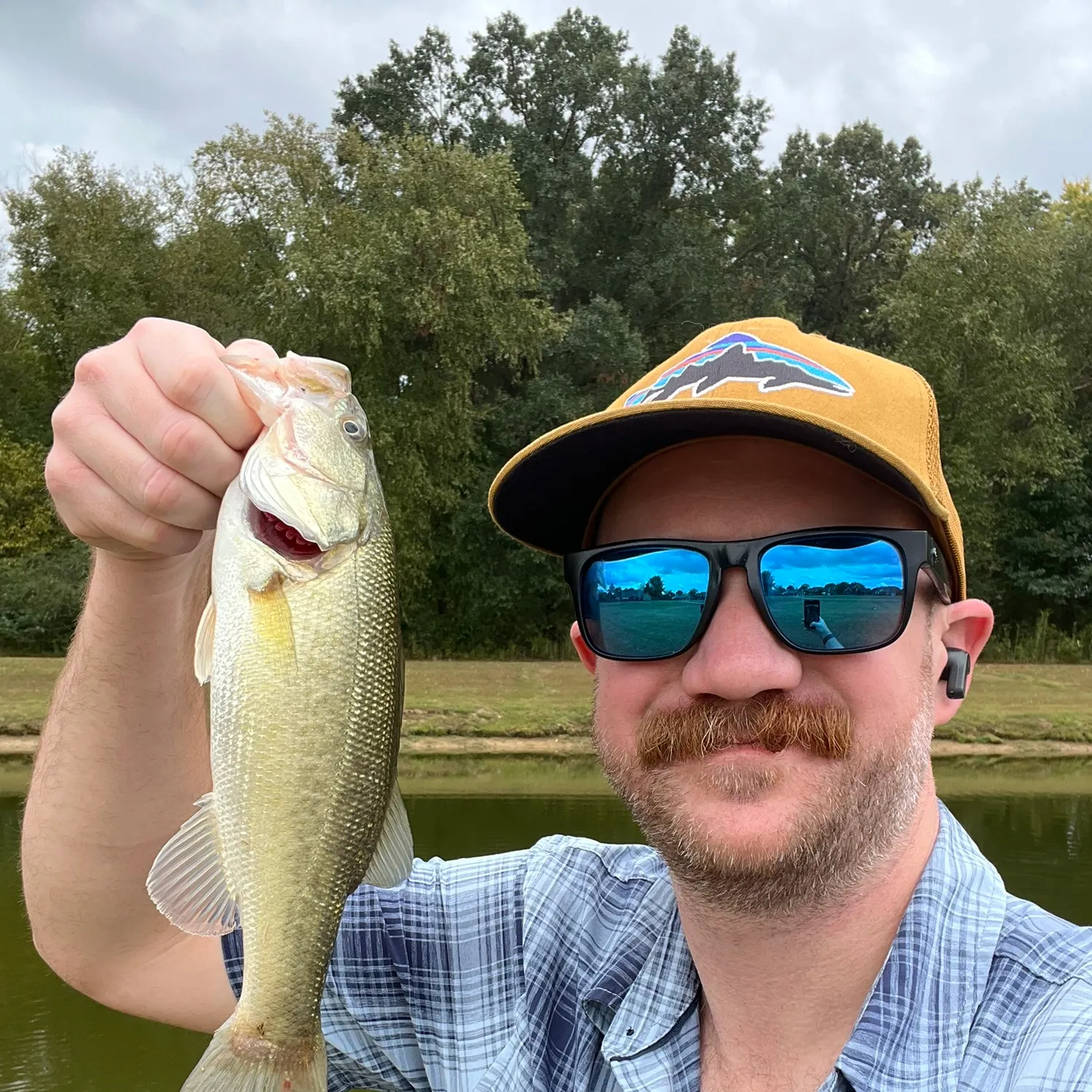 Largemouth bass caught on Fishbrain