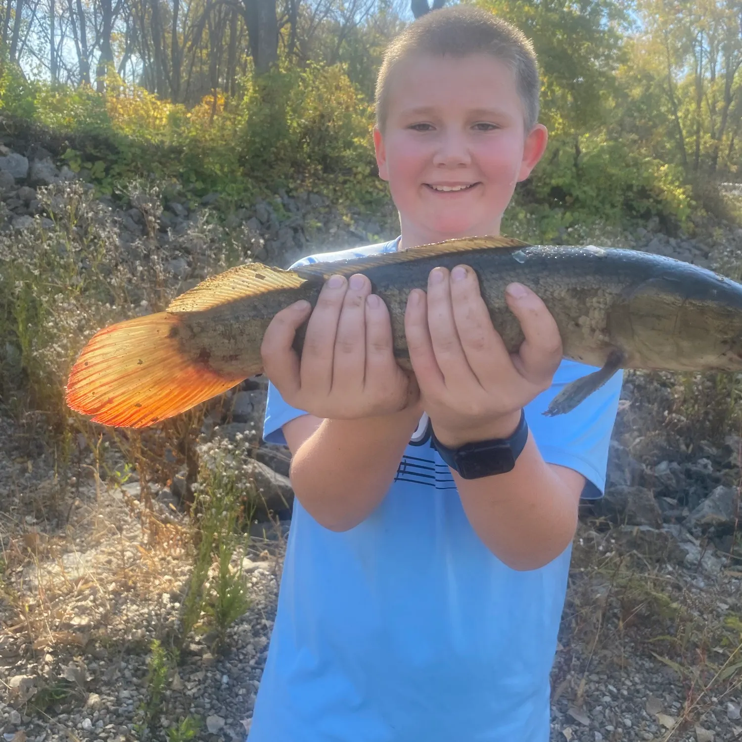Eyetail bowfin caught on Fishbrain