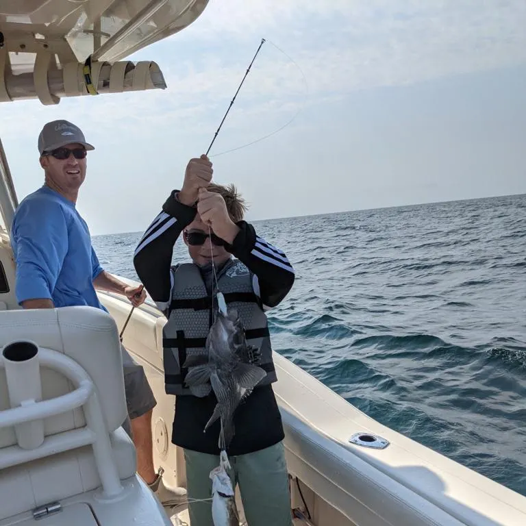 The most recent Red hake catches on Fishbrain