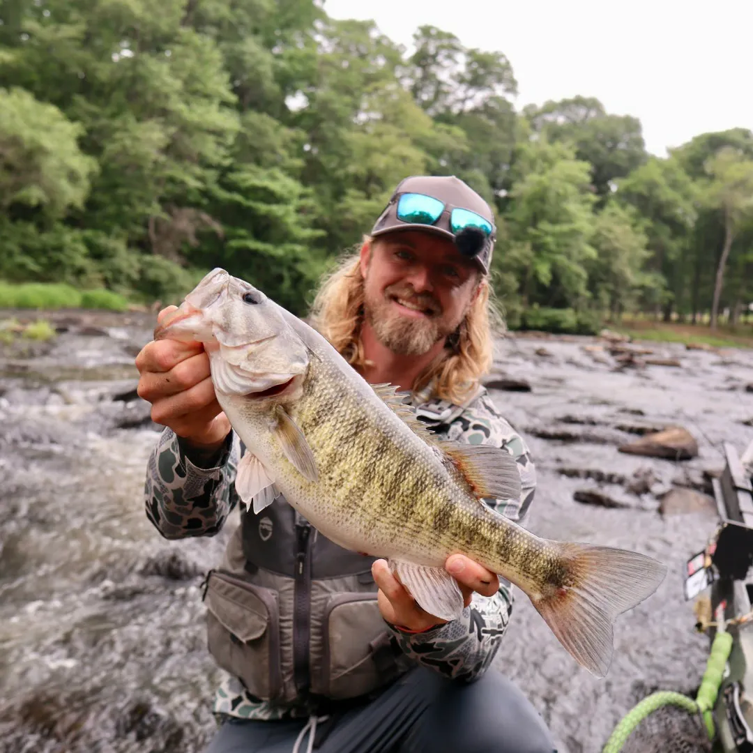 The most recent Shoal bass catches on Fishbrain