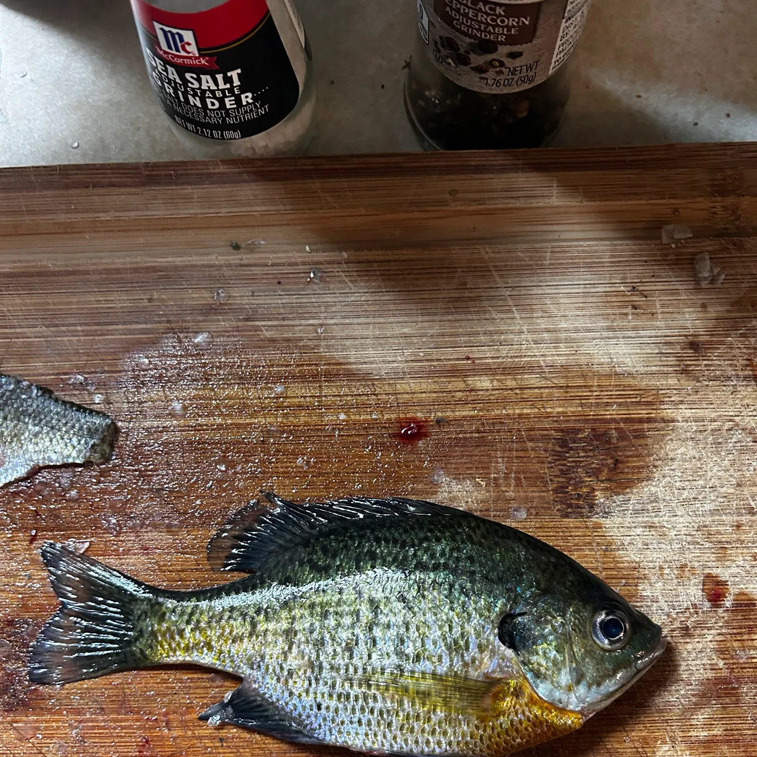 Bluegill caught on Fishbrain