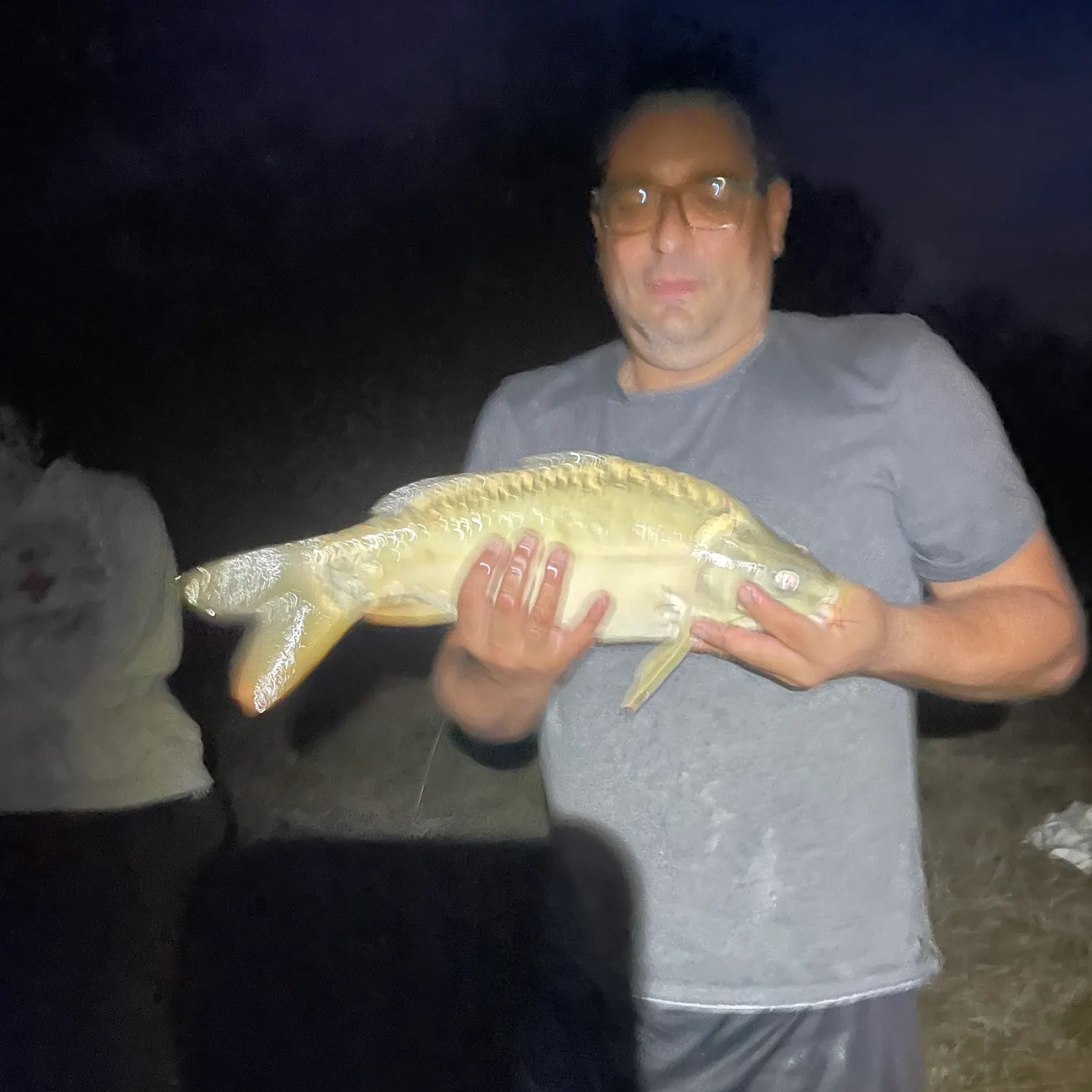 Mirror carp caught on Fishbrain