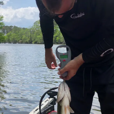 angler catch