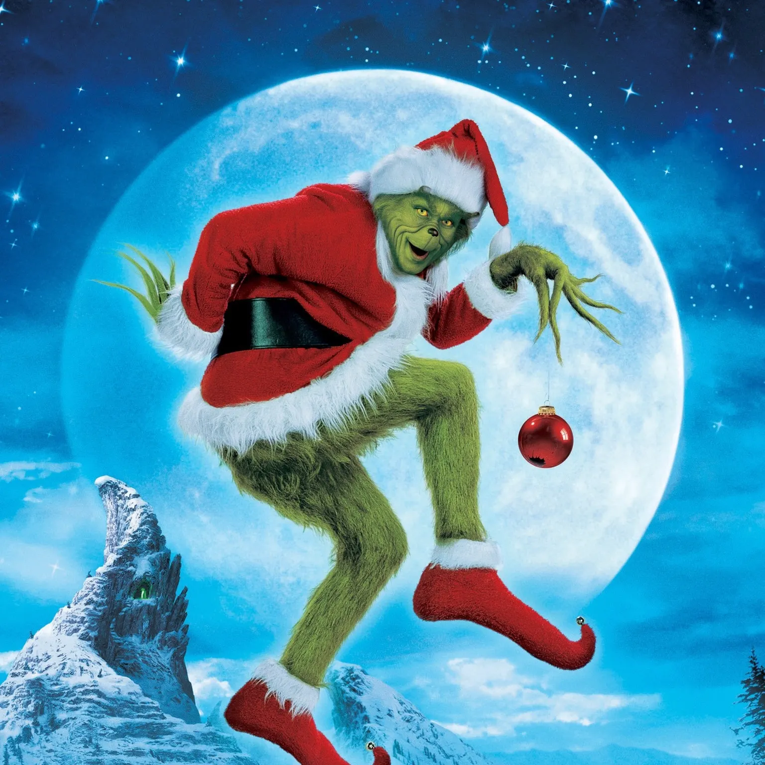 The most recent European seabass catches on Fishbrain