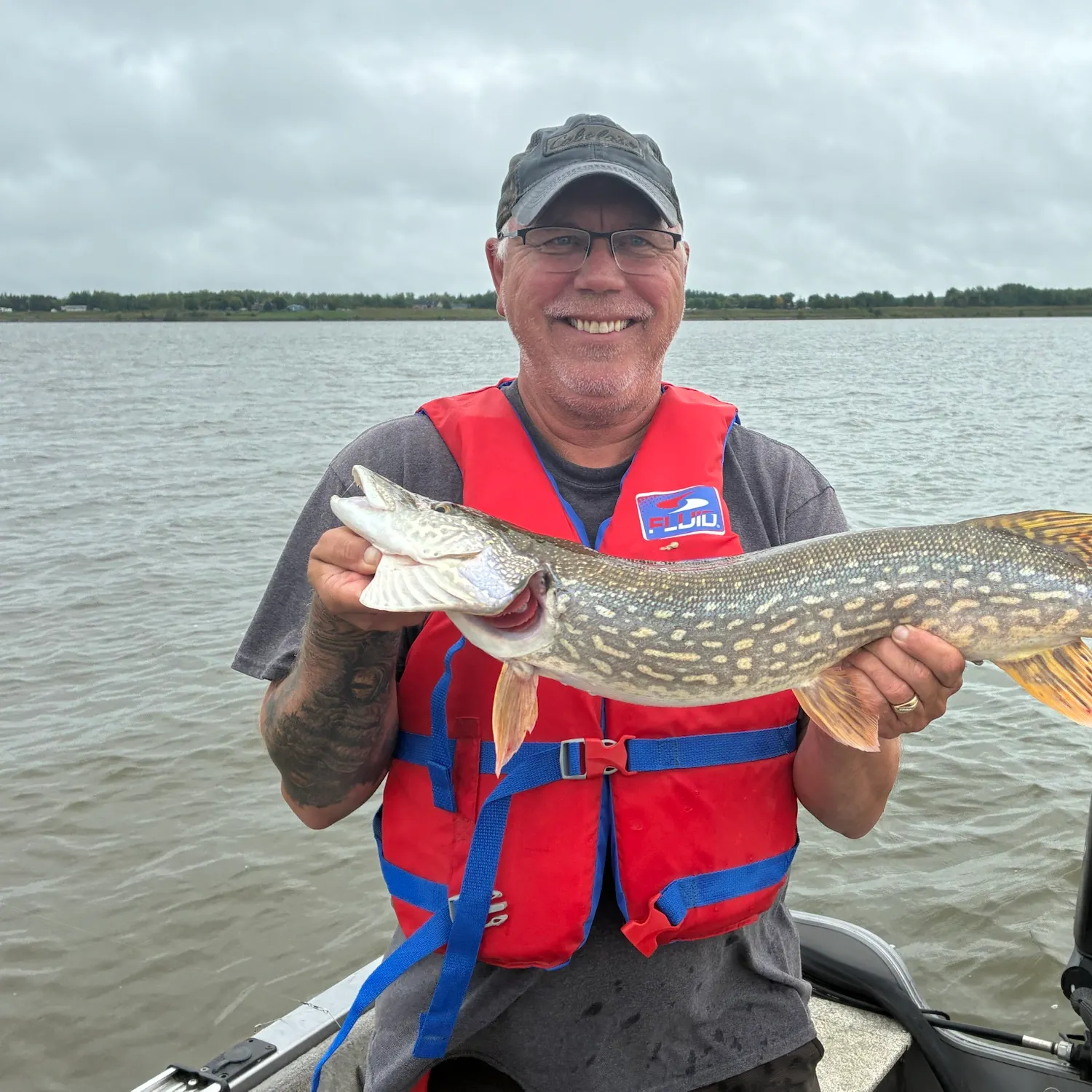 Northern pike caught on Fishbrain
