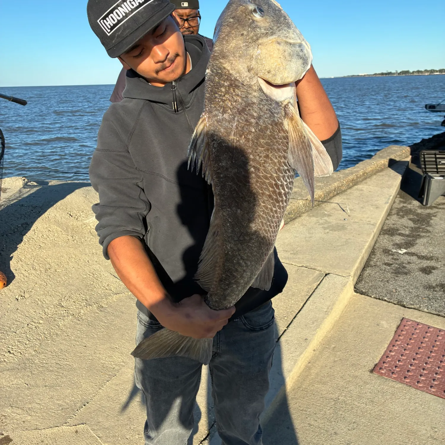 Black drum caught on Fishbrain