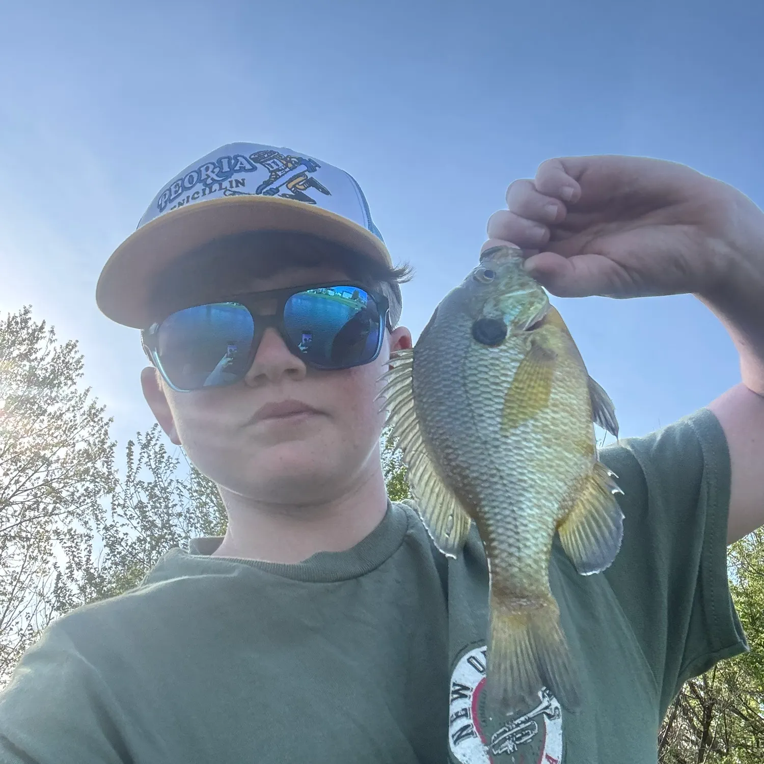 The most recent Redear x bluegill catches on Fishbrain
