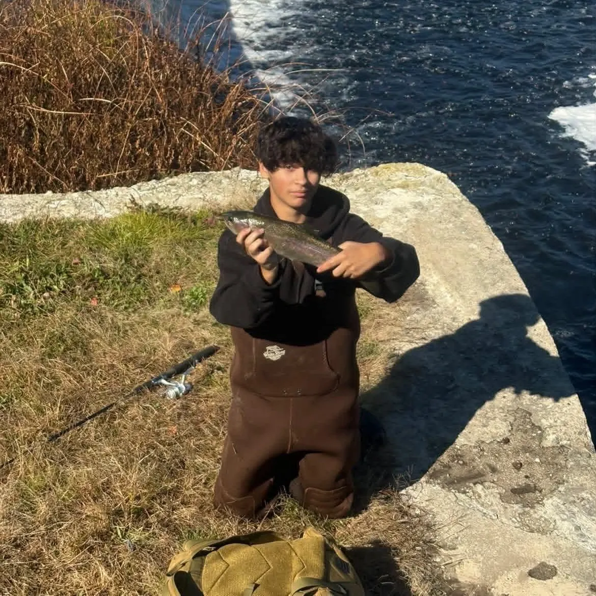 Rainbow trout caught on Fishbrain