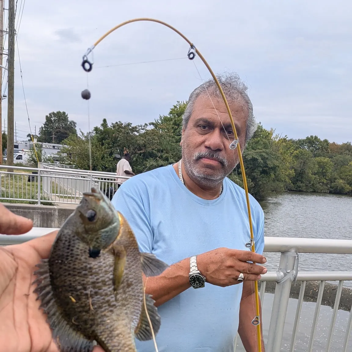 Bluegill caught on Fishbrain