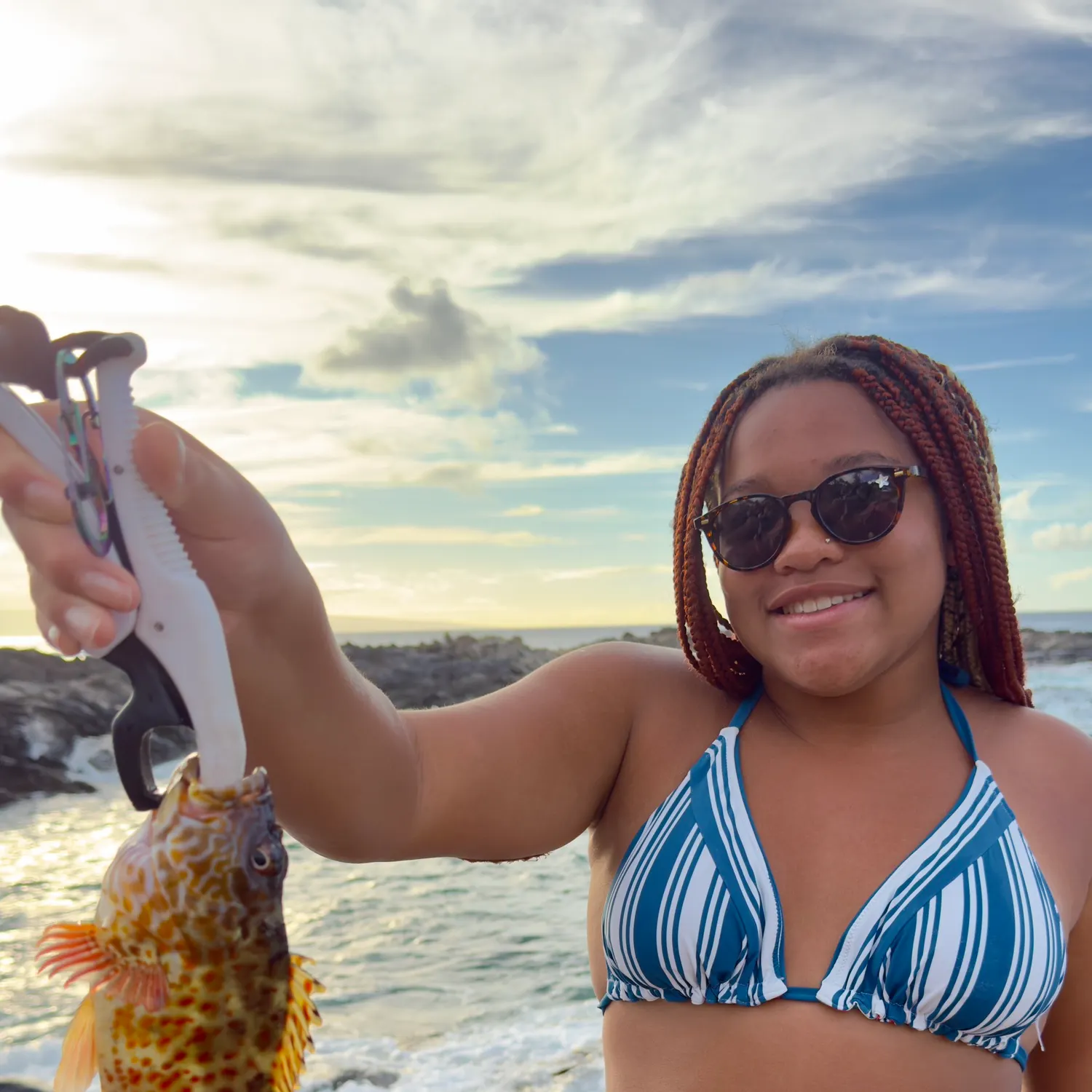 The most recent Stocky hawkfish catches on Fishbrain