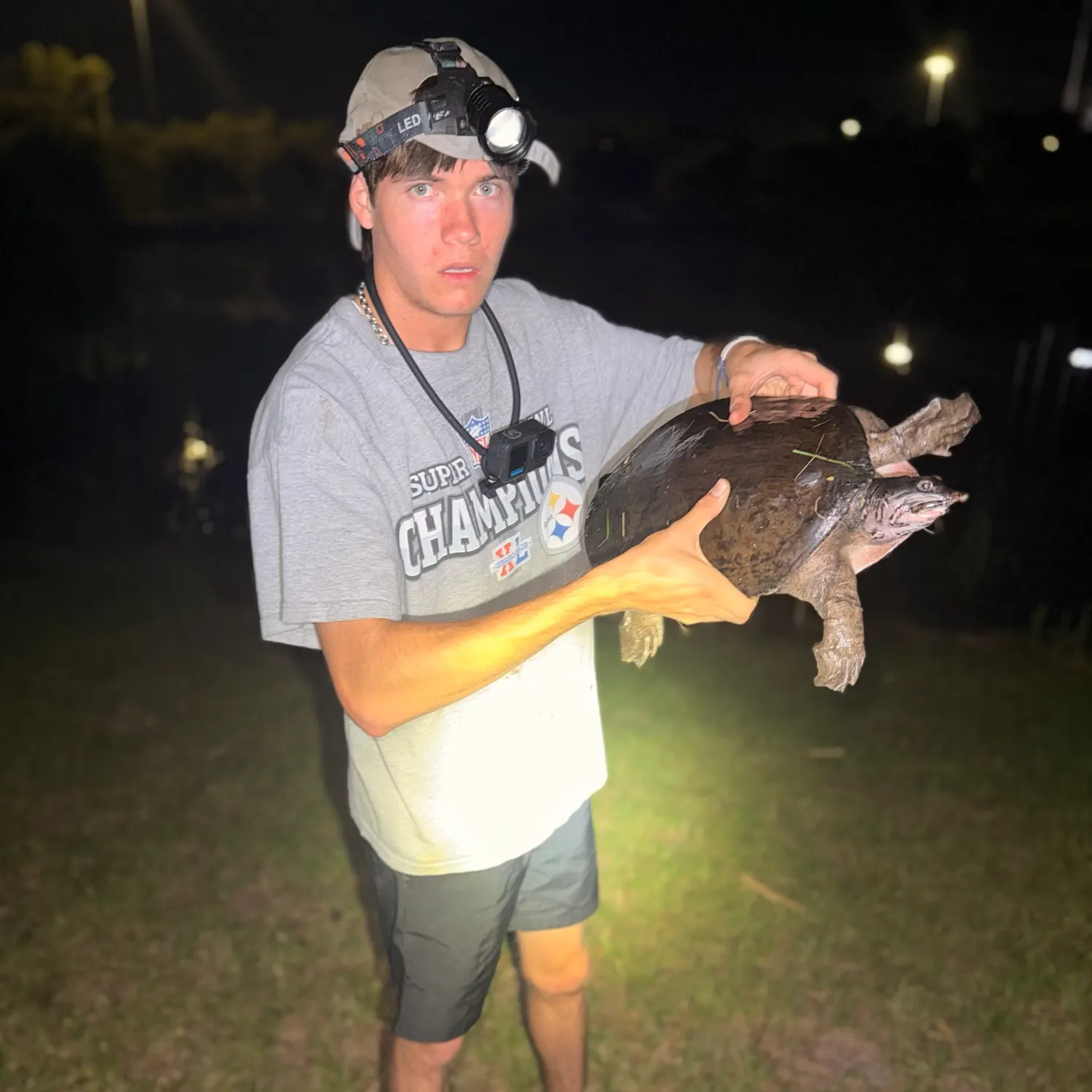 The most recent Florida softshell turtle catches on Fishbrain