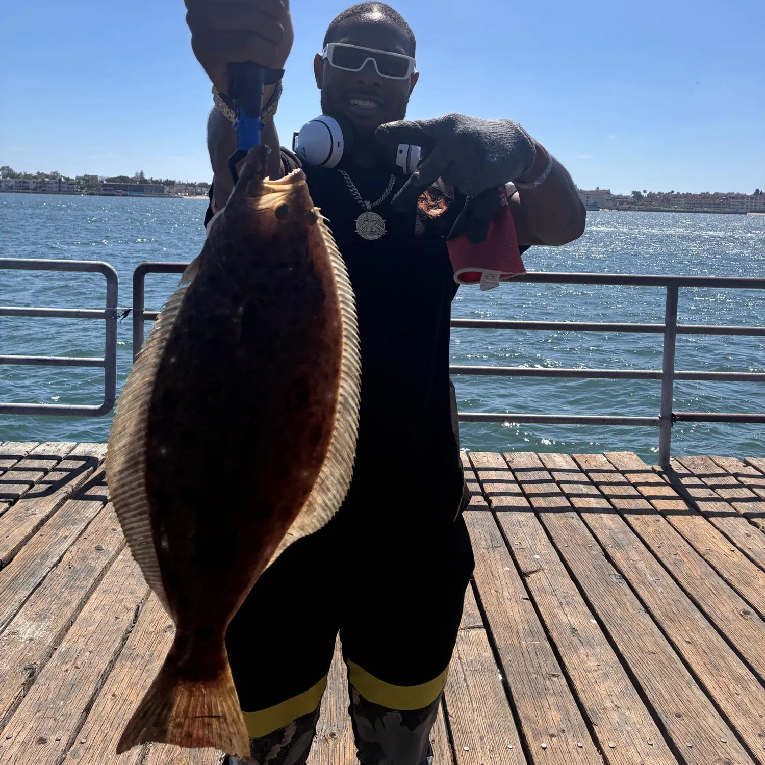 California halibut caught on Fishbrain