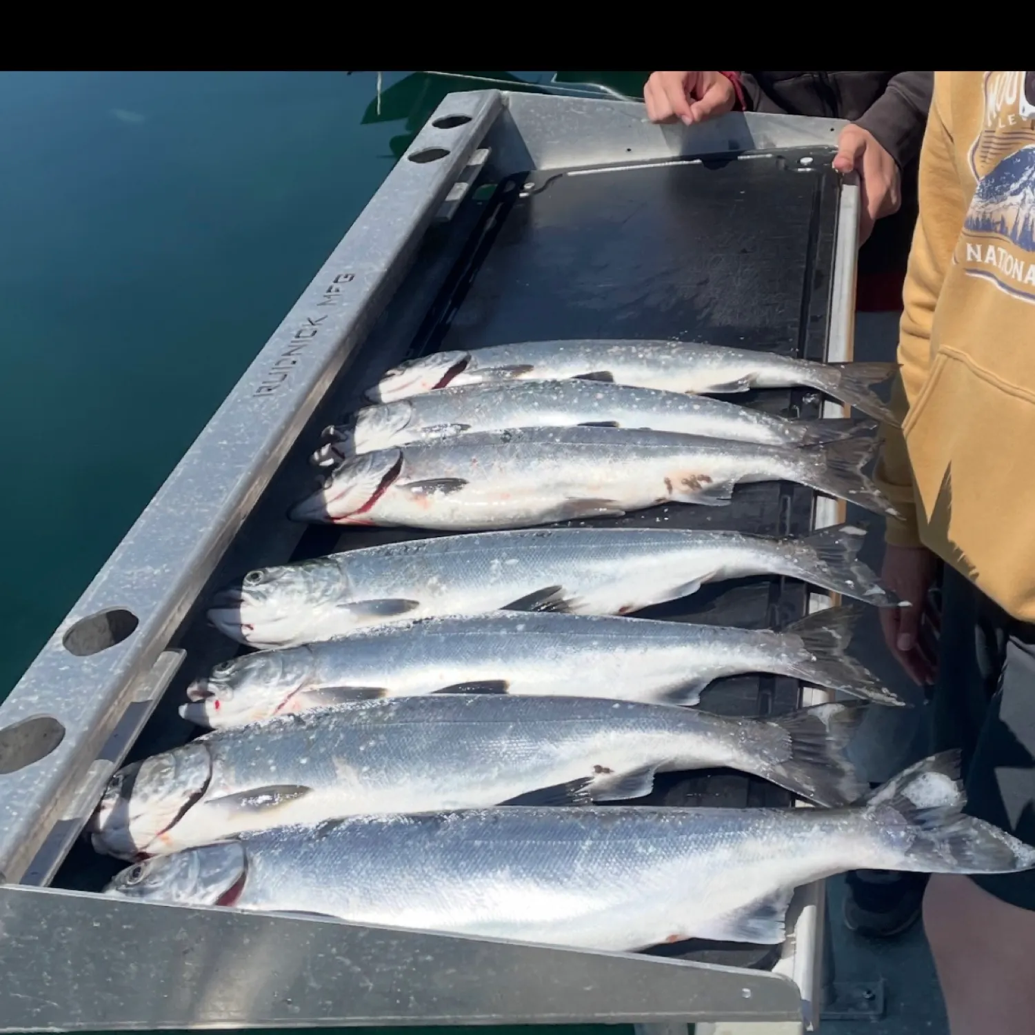 recently logged catches