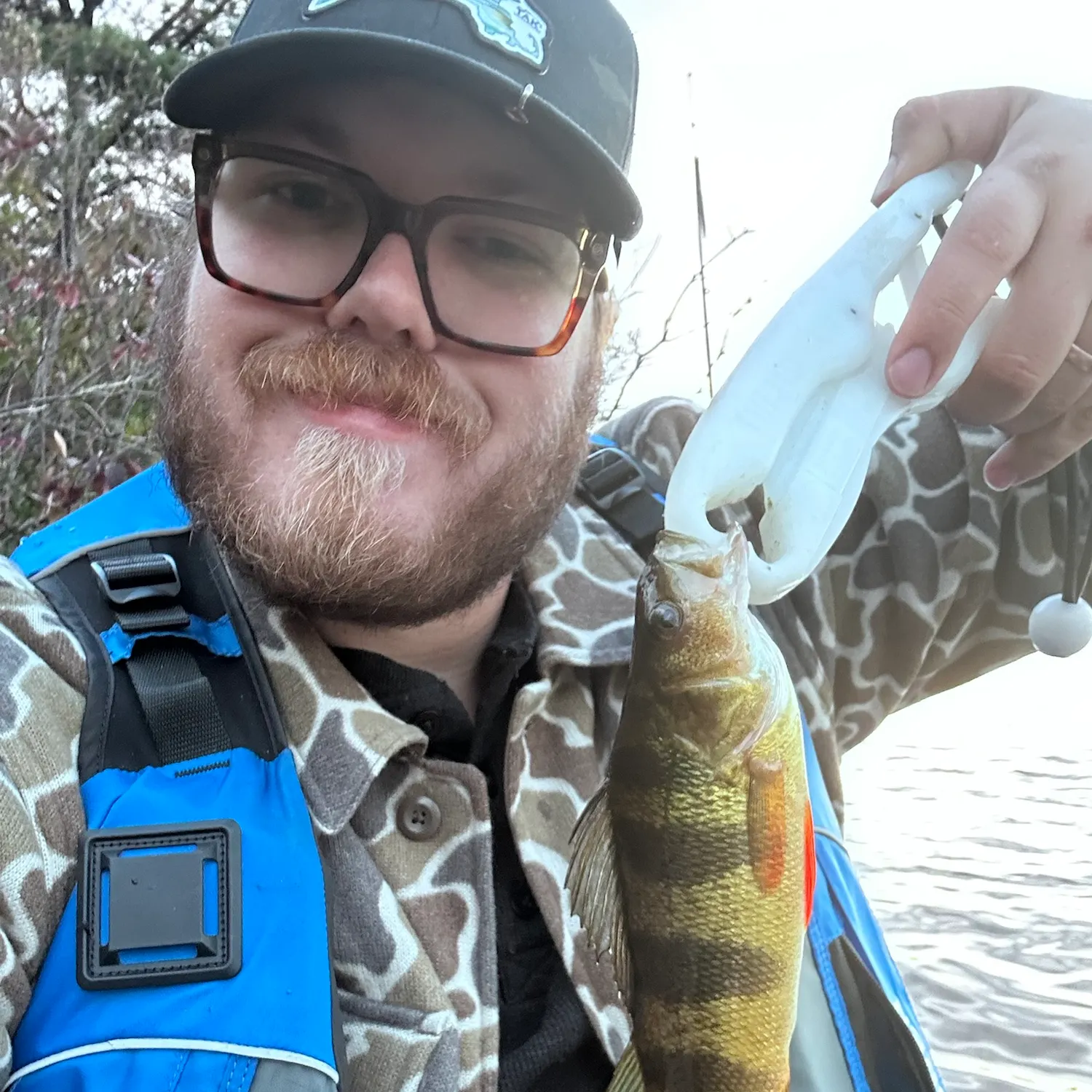 Yellow perch caught on Fishbrain