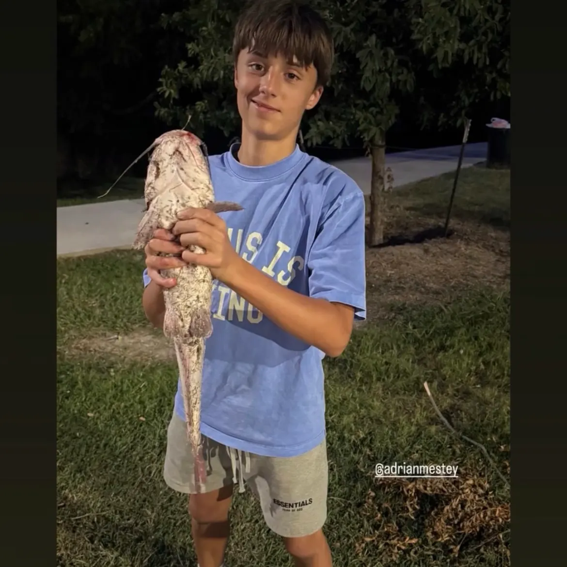 Channel catfish caught on Fishbrain