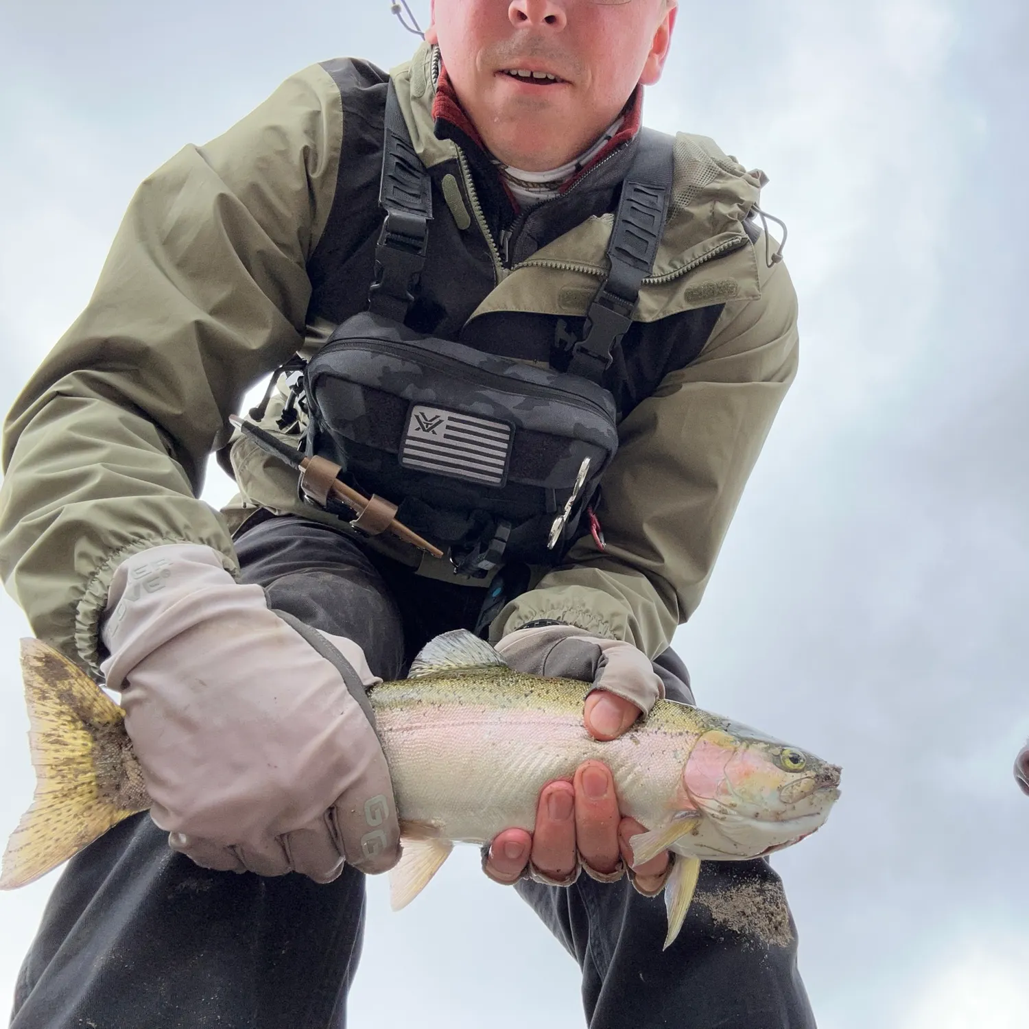 Cutbow caught on Fishbrain