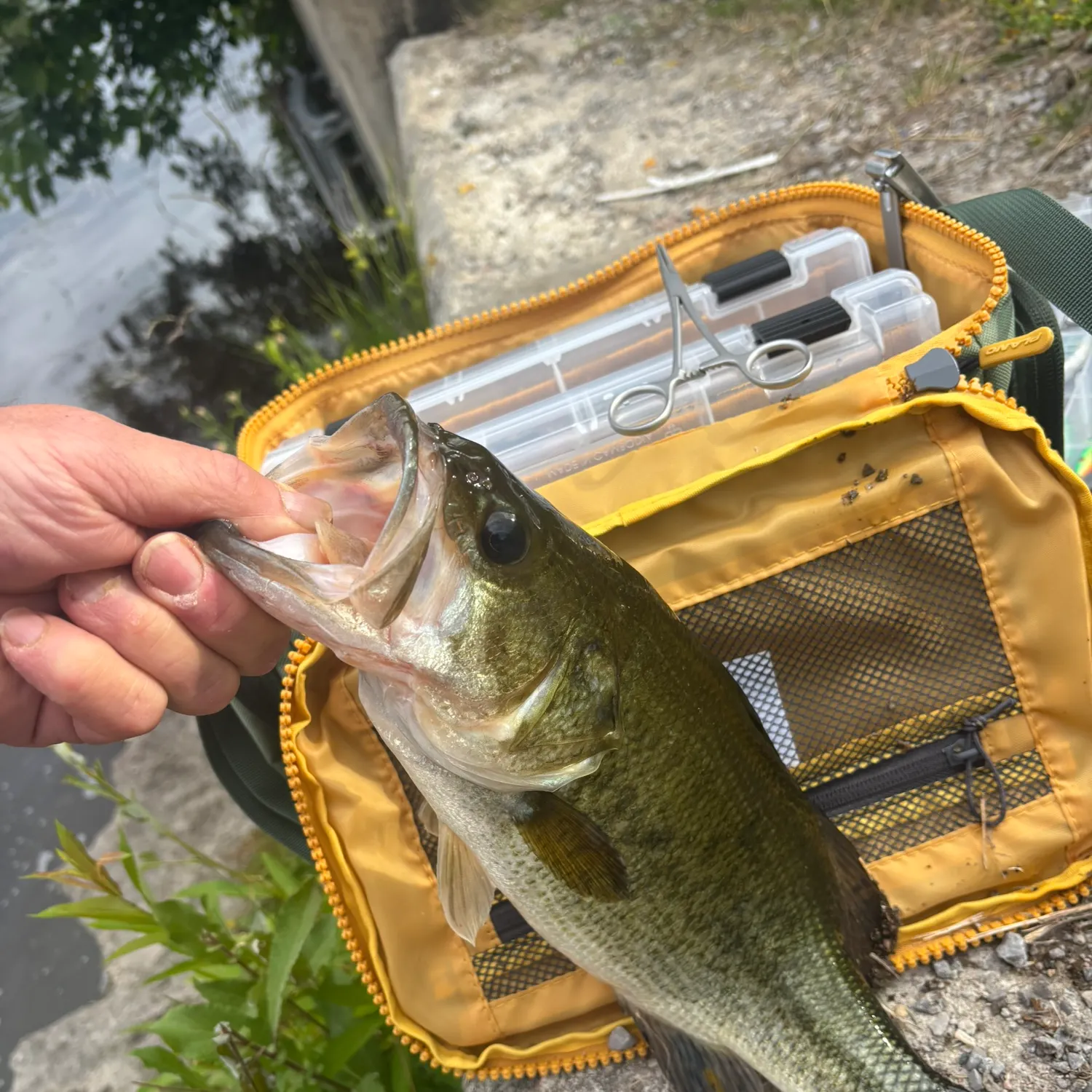 catch