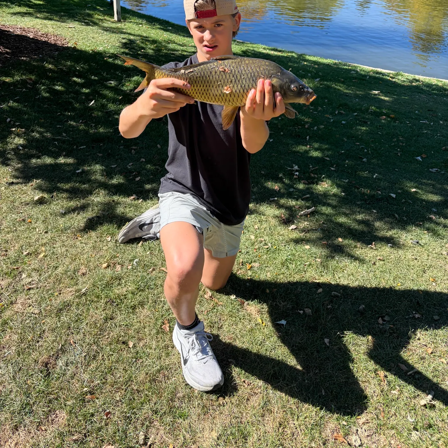 Common carp caught on Fishbrain