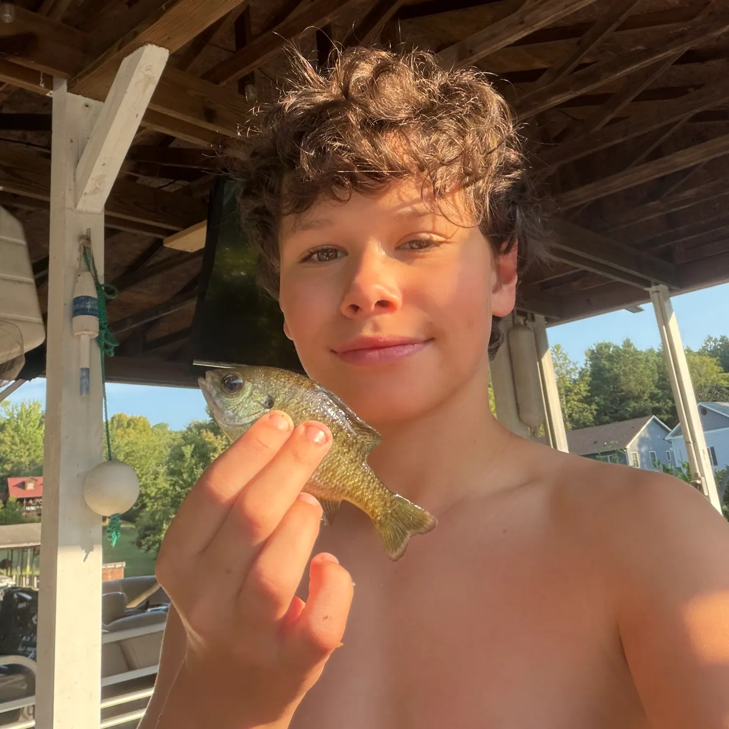 Bluegill caught on Fishbrain