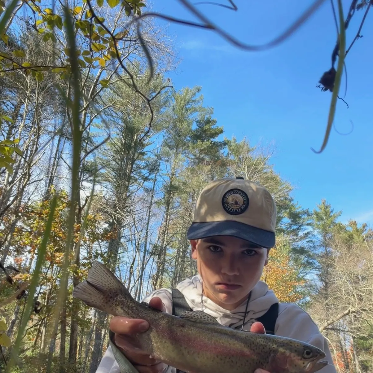 Rainbow trout caught on Fishbrain