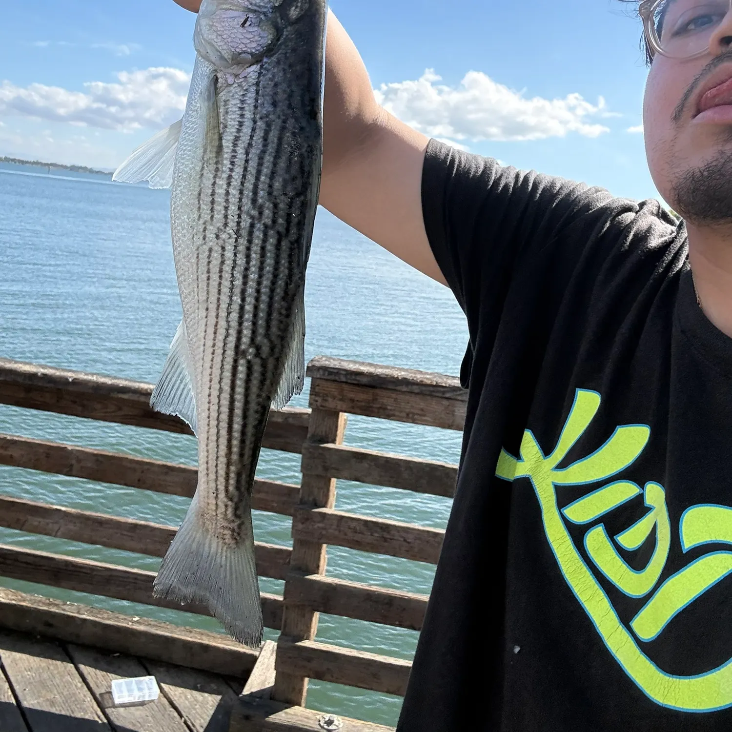 Striped bass caught on Fishbrain