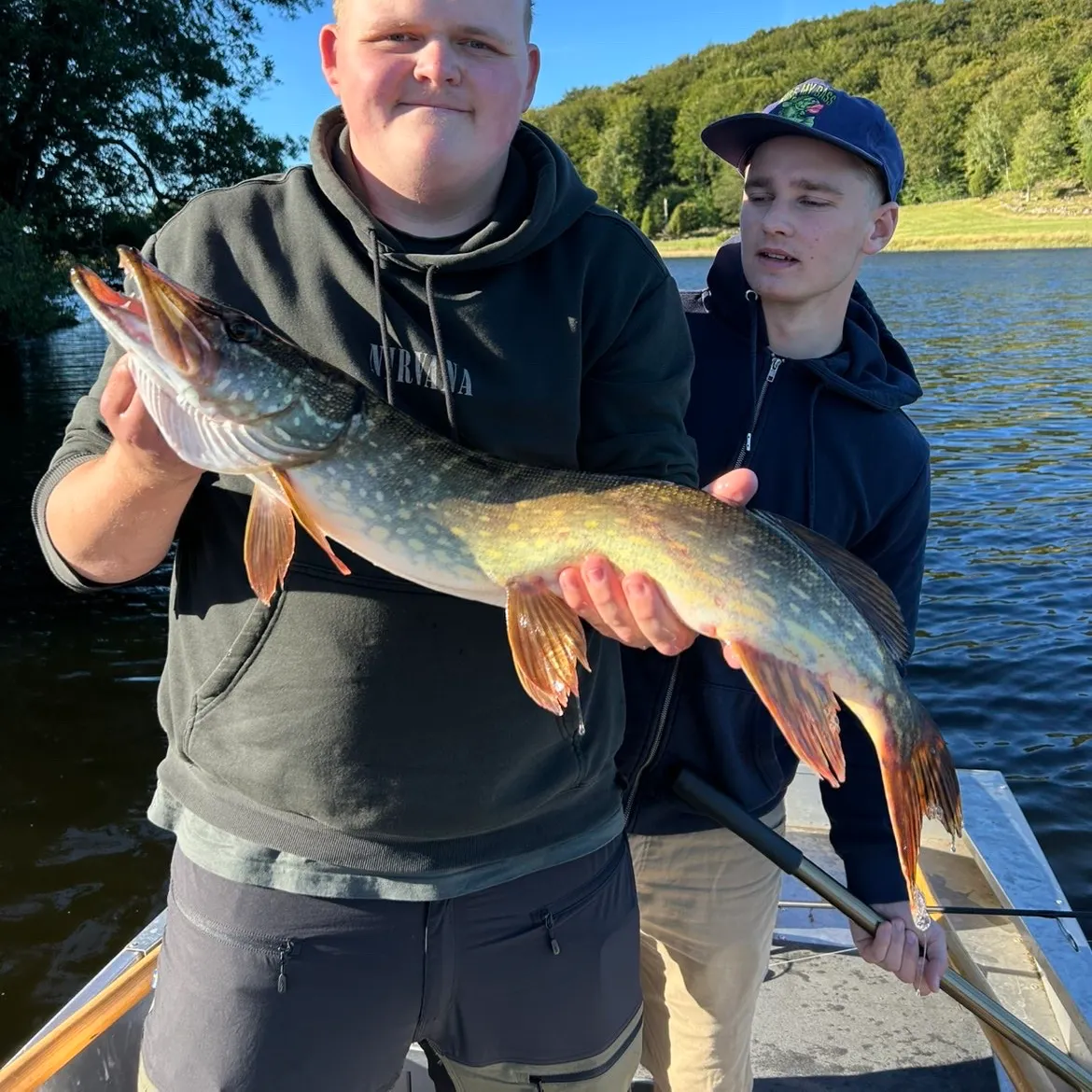 Northern pike caught on Fishbrain