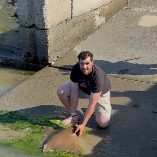 The most recent Cownose Ray catches on Fishbrain