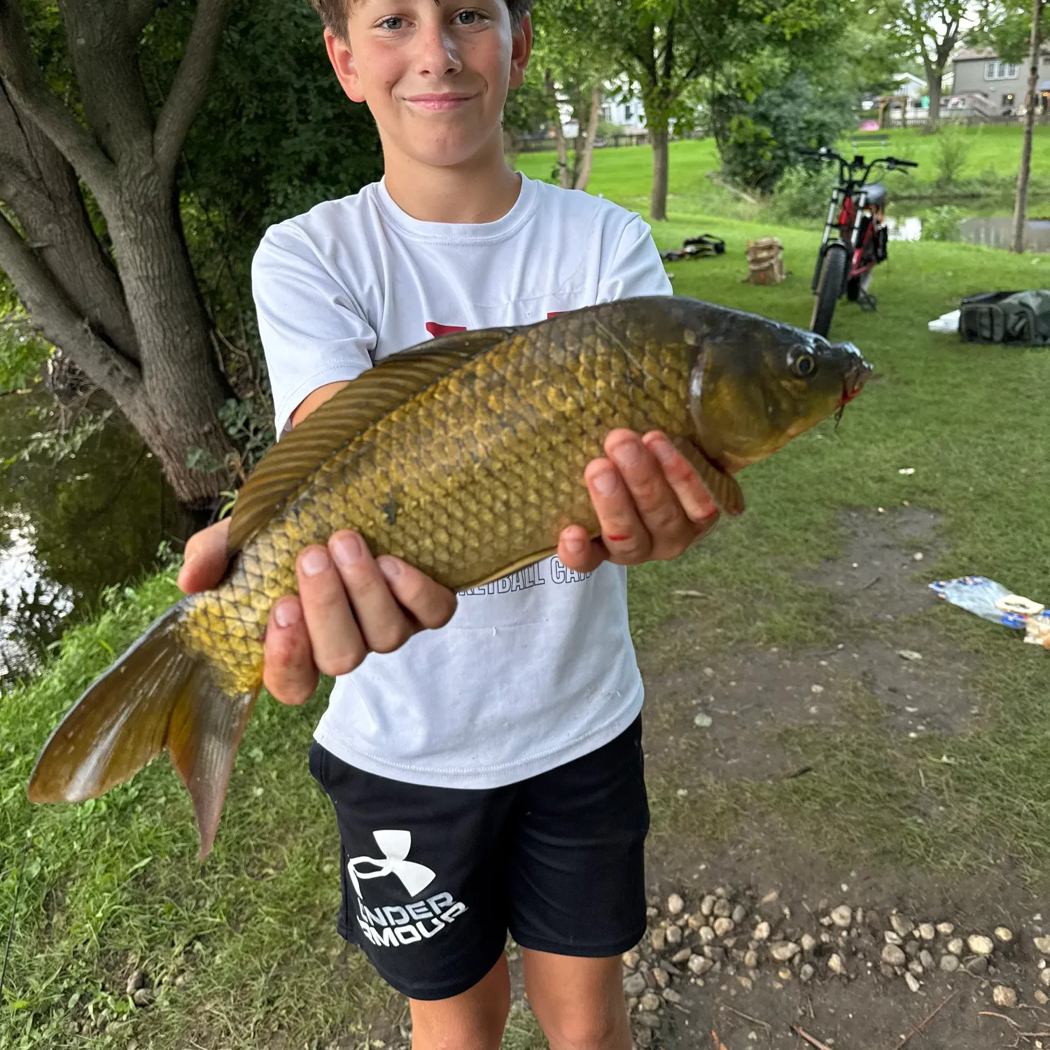 The most recent F1 carp catches on Fishbrain