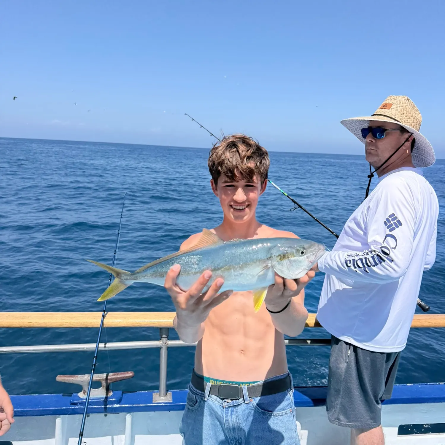 California yellowtail amberjack caught on Fishbrain