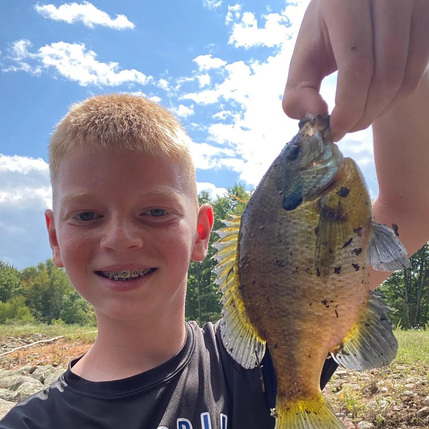 Bluegill caught on Fishbrain