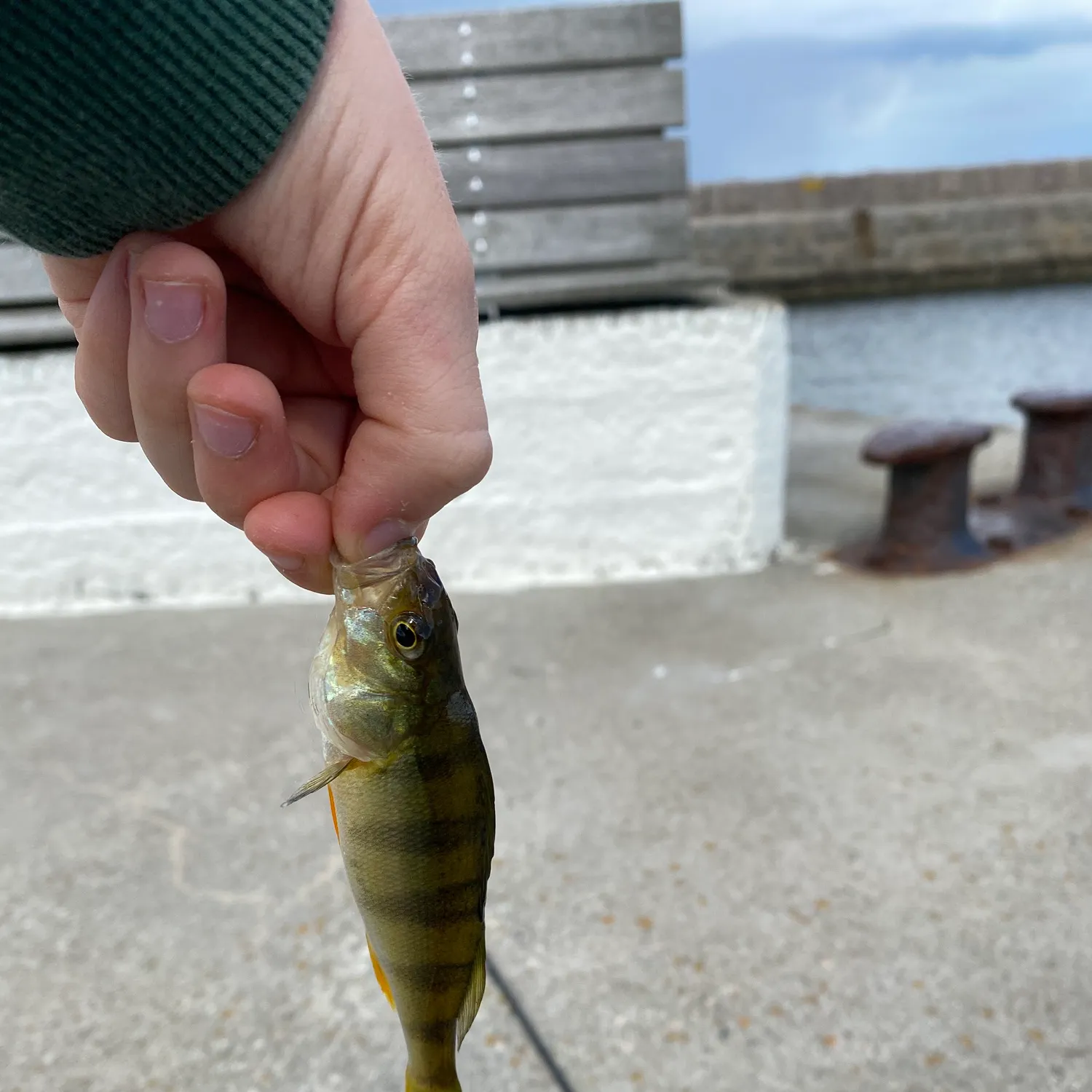 catch