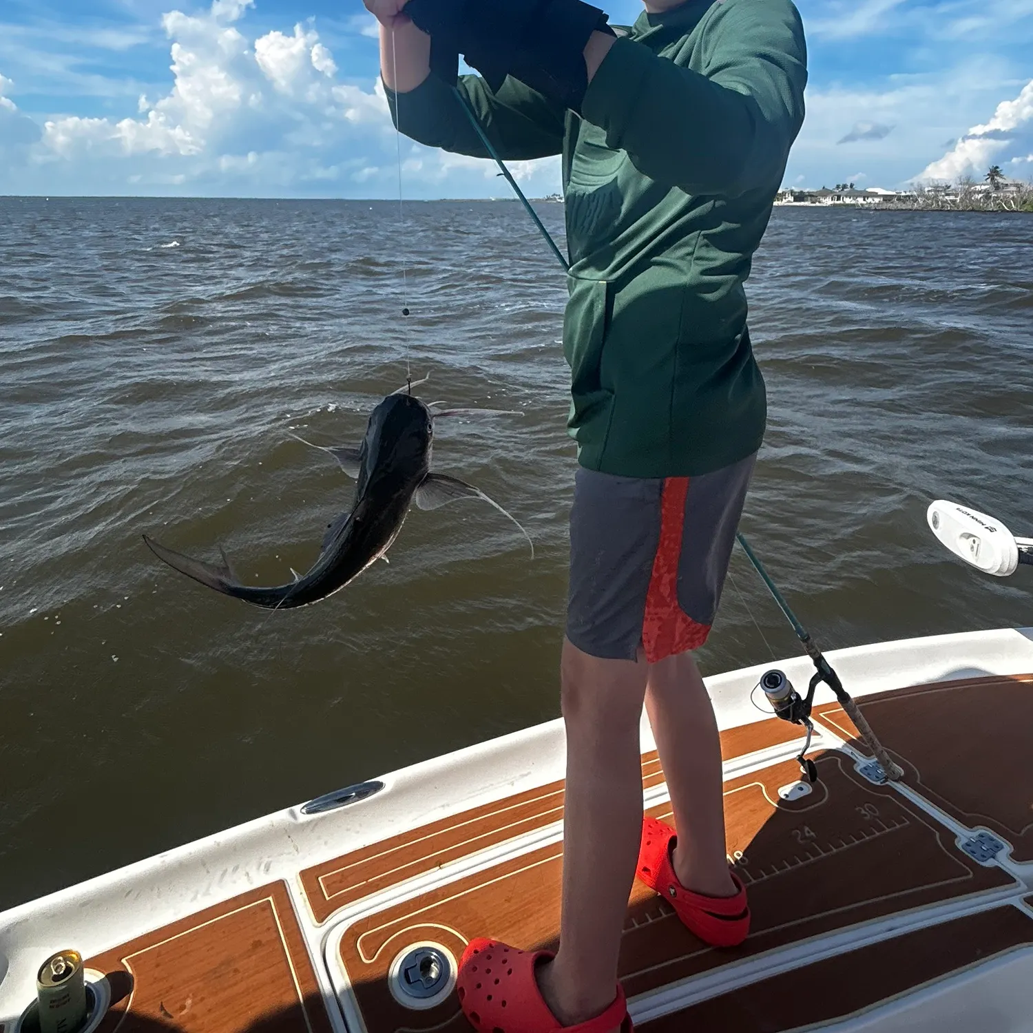 Gafftopsail sea catfish caught on Fishbrain